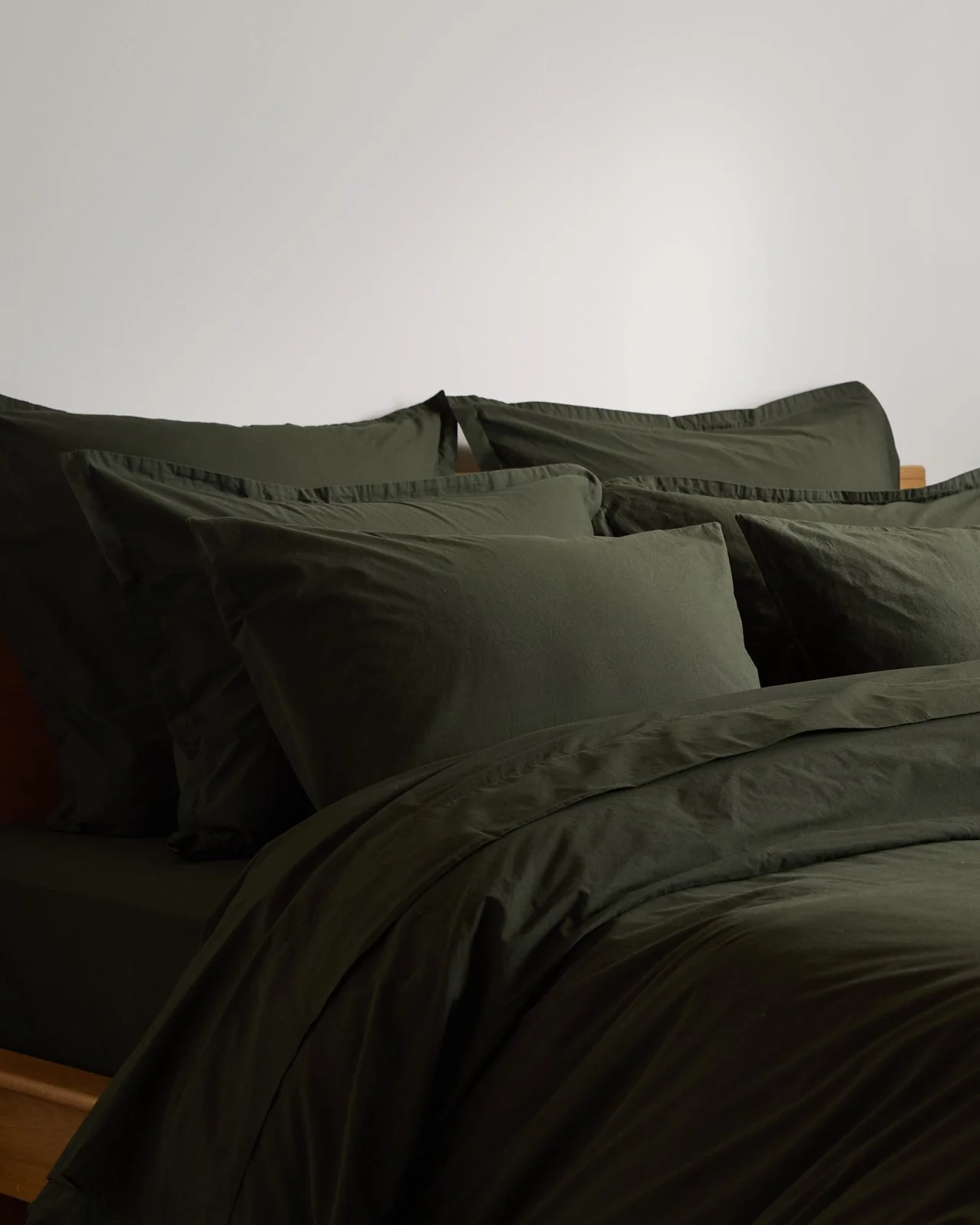 Brushed Cotton Euro Sham (Evergreen) - Image 2